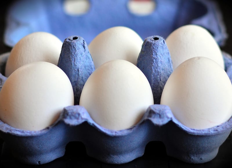 Egg Carton Critters
